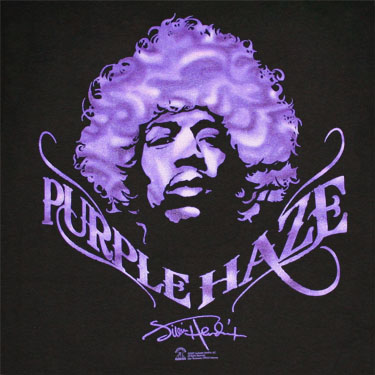 Why-did-Jimi-Hendrix-Write-Wrote-Purple-Haze-.jpg